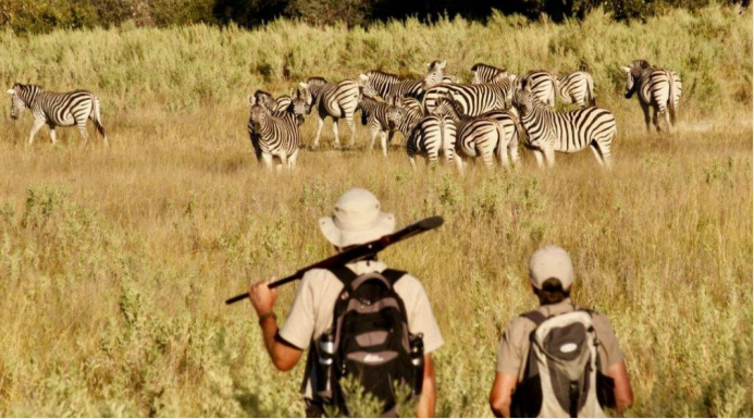 Safari Guide